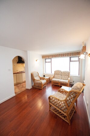 TV, fireplace, DVD player, books