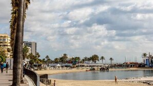 Una playa con una palmera, orilla arenosa y algunas personas.