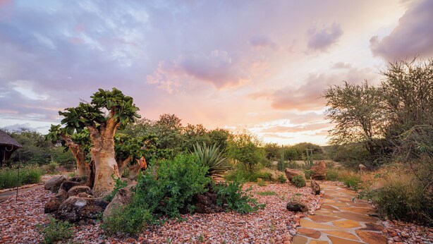 A garden with a stone pathway, a large tree, and various shrubs.