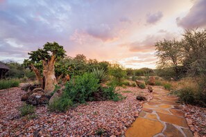 Exterior - Ohorongo Game Reserve (Kamanjab)