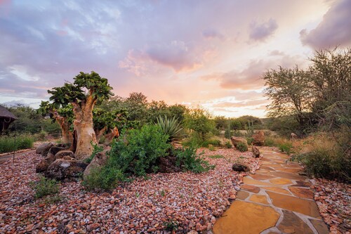 Ohorongo Game Reserve