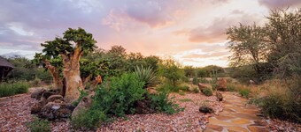 Ohorongo Game Reserve