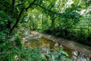 Un área boscosa con un arroyo.