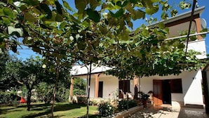 Un espacio al aire libre cubierto con un patio, un edificio blanco con contraventanas marrones y un jardín con diversas plantas y un columpio.