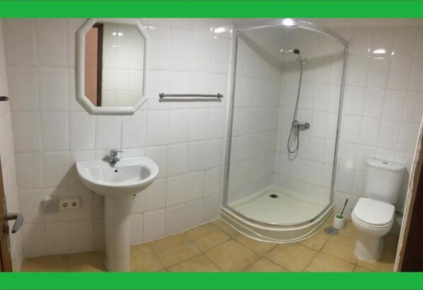 Een badkamer met een wit wastafel, een spiegel, een douche en een toilet.