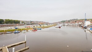 Unclassified image, 3 of 16, button - Seal Watch (Whitby)