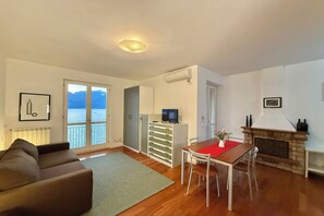 Televisión de pantalla plana, chimenea y reproductor de DVD 