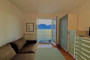 Televisión de pantalla plana, chimenea y reproductor de DVD 