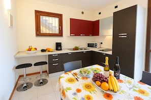 Grand réfrigérateur, micro-ondes, plaque de cuisson, lave-vaisselle