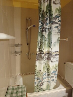 Combined shower/tub, hair dryer, bidet, towels