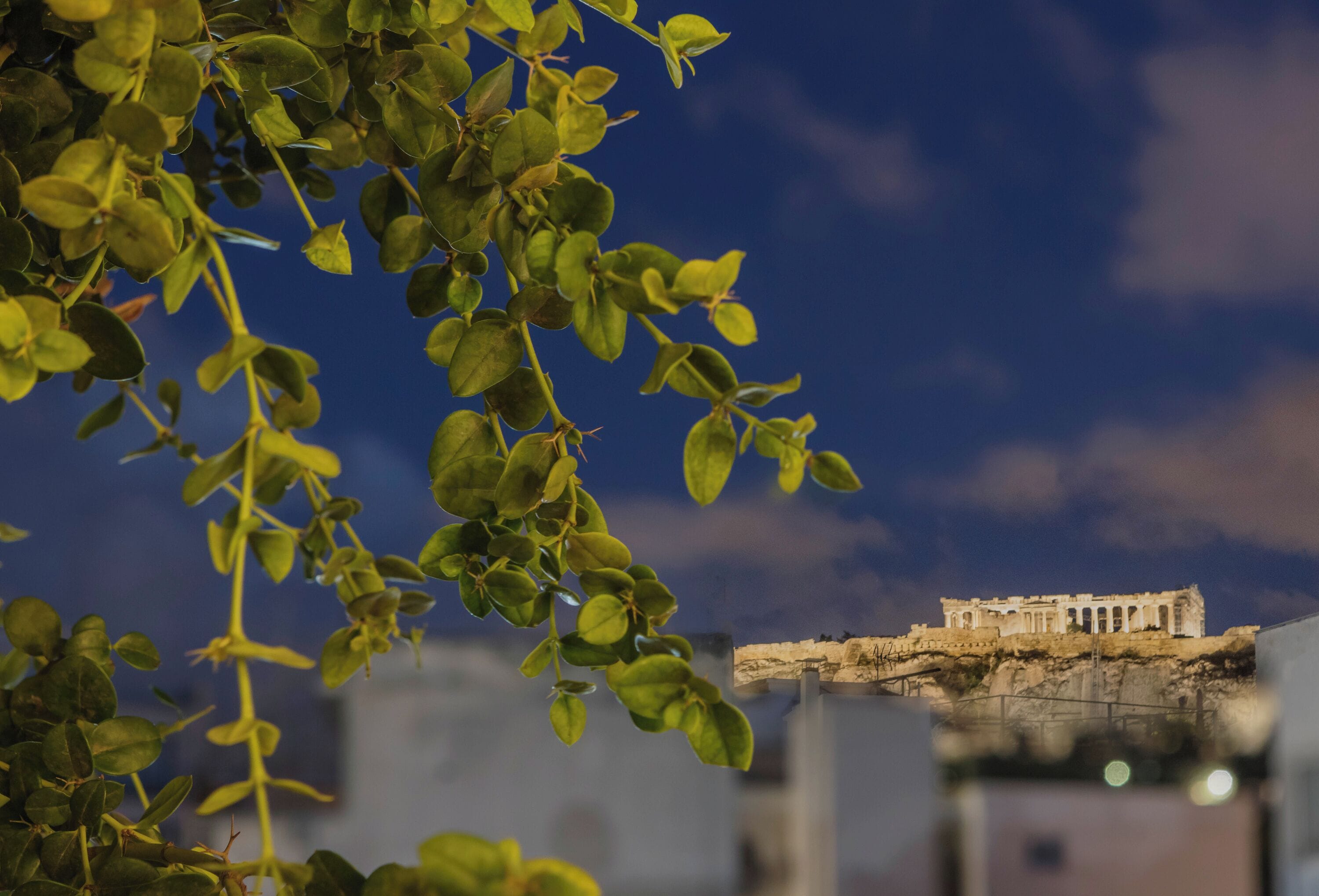 acropolis suite with terrace | view from room