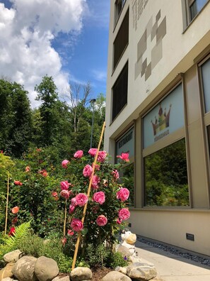 Exterior - Swiss Star Home (Effretikon)