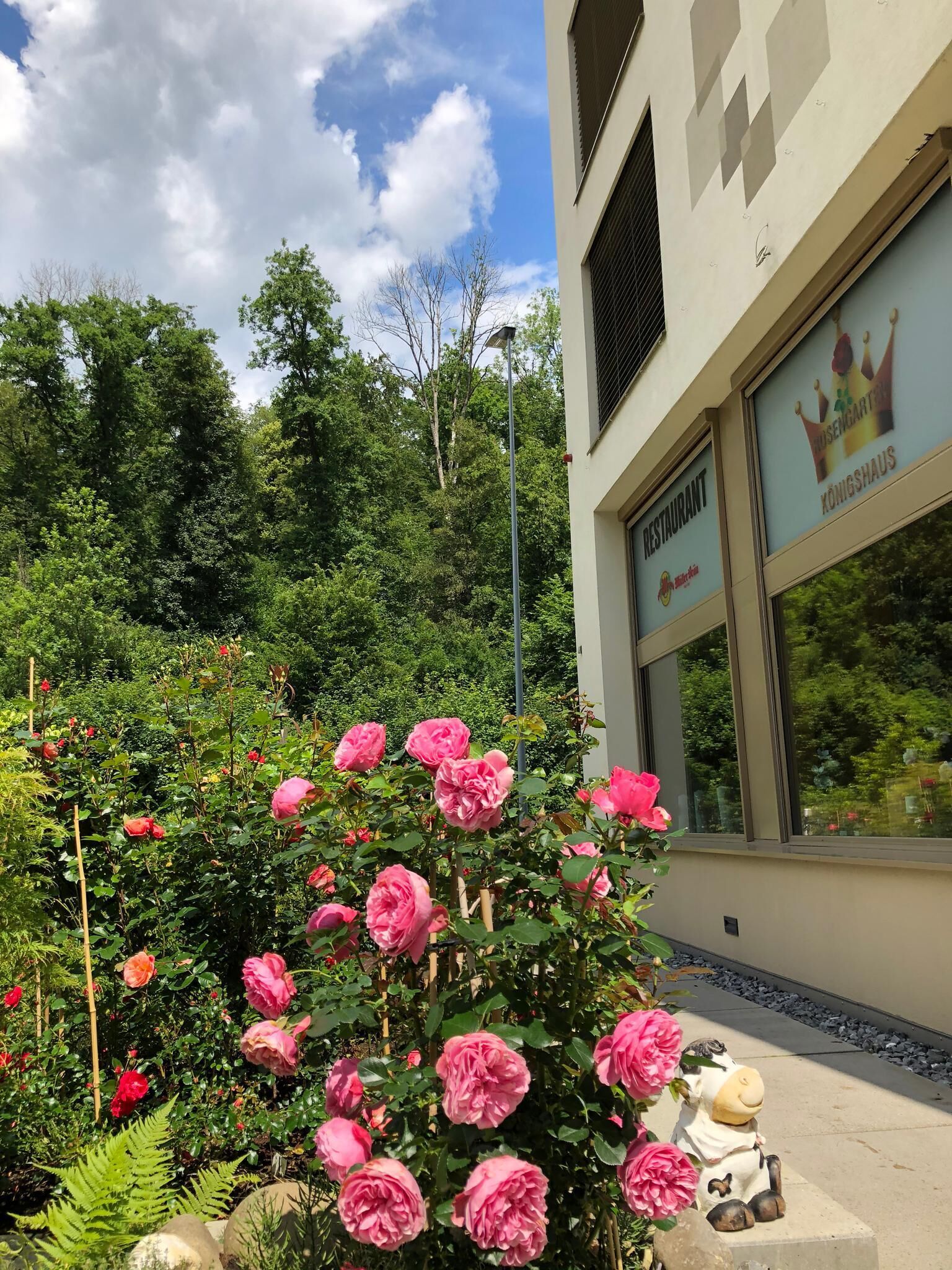 Photo - Swiss Star Home