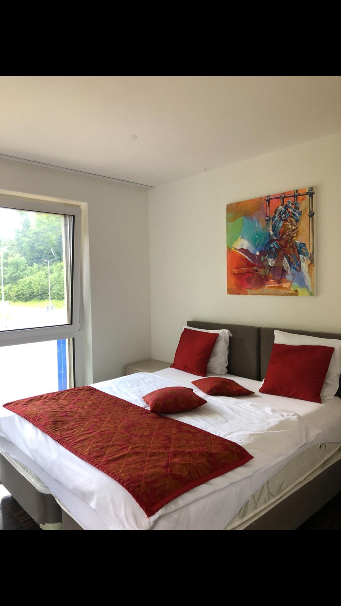 Photo - Swiss Star Home