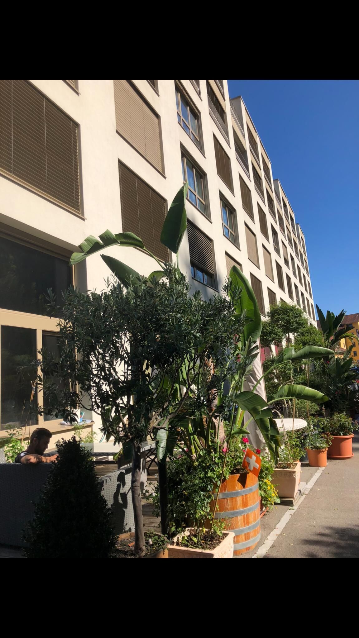 Photo - Swiss Star Home