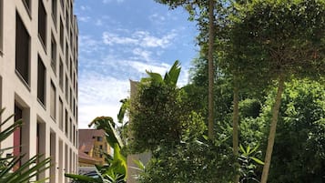 Jardín