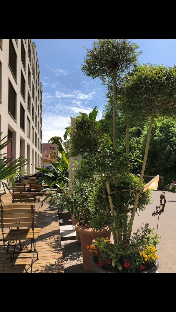 Garden - Swiss Star Home (Effretikon)