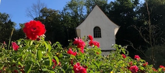 Swiss Star Home