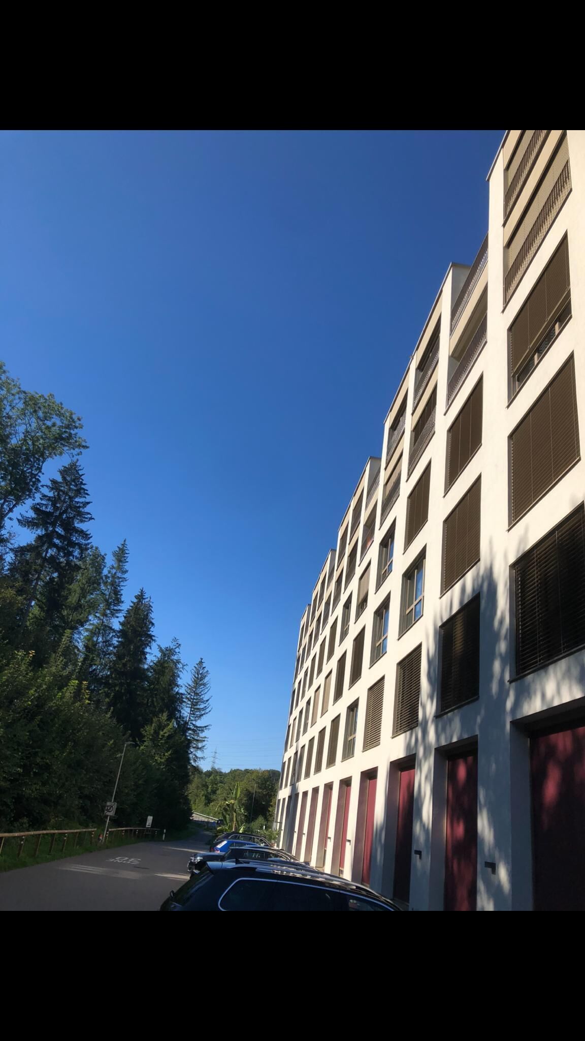 Photo - Swiss Star Home