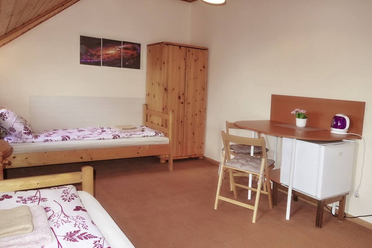 A bedroom with a bunk bed, a desk with a chair, a small fridge, and a cabinet.