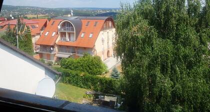 Tolena Heviz Apartments