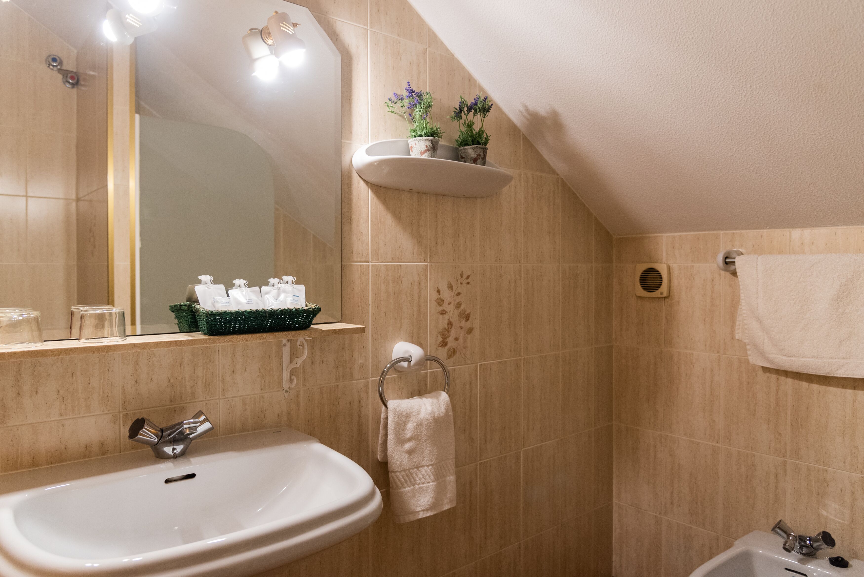 A bathroom with a sink, mirror, towel rack, shelf with plants, and a shower area.