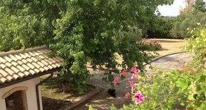 AGRITOURISM "SANTA FELICITA"