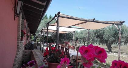 AGRITOURISM "SANTA FELICITA"