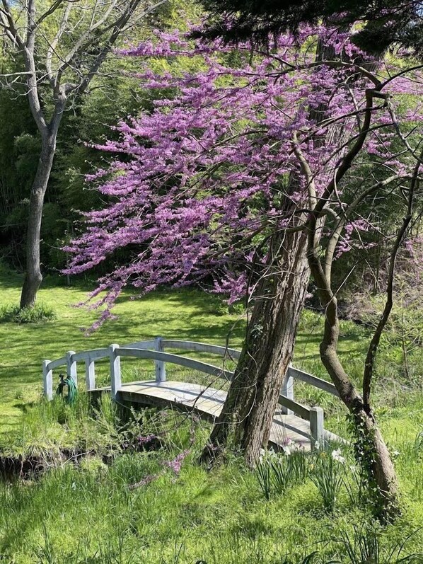 Property grounds - Country Estate in Historic District (Chestertown)