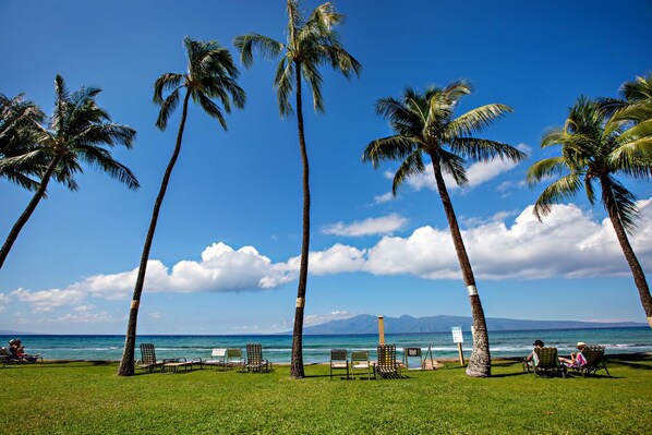 On the beach - Lush tropical gardens with amazing amenities (Lahaina)
