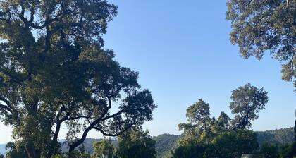 House exceptional site on 10 Ha panoramic sea view of the Gulf of St-Tropez