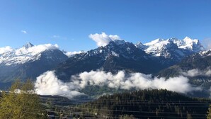 Paisaje montañoso con picos nevados, un valle con bosque denso y líneas eléctricas en primer plano.
