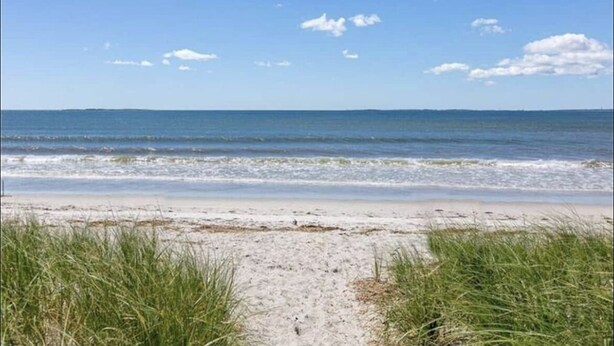 En strand med en sandstig som leder ner till vattnet, omgiven av gräs.
