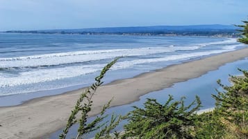 在海滩、沙滩毛巾