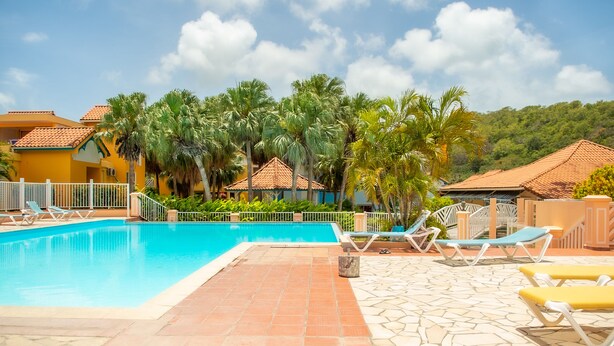 Una piscina con sillas de descanso, rodeada de palmeras y un solárium con baldosas.
