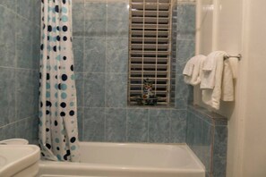Shower, free toiletries, hair dryer, towels