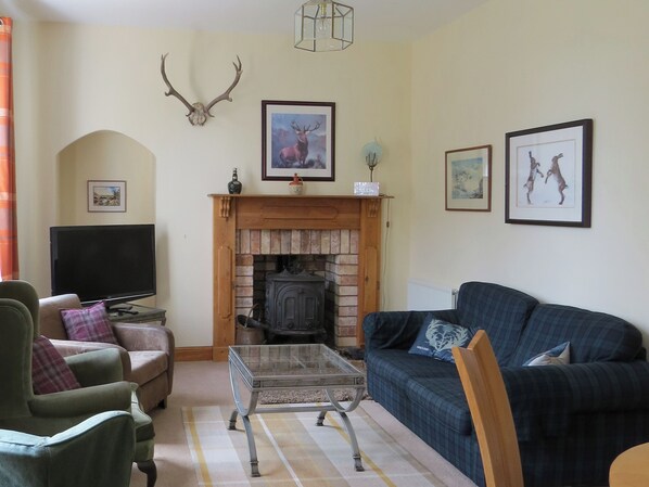 TV, fireplace - 2 bedroom accommodation in Duns (Duns)