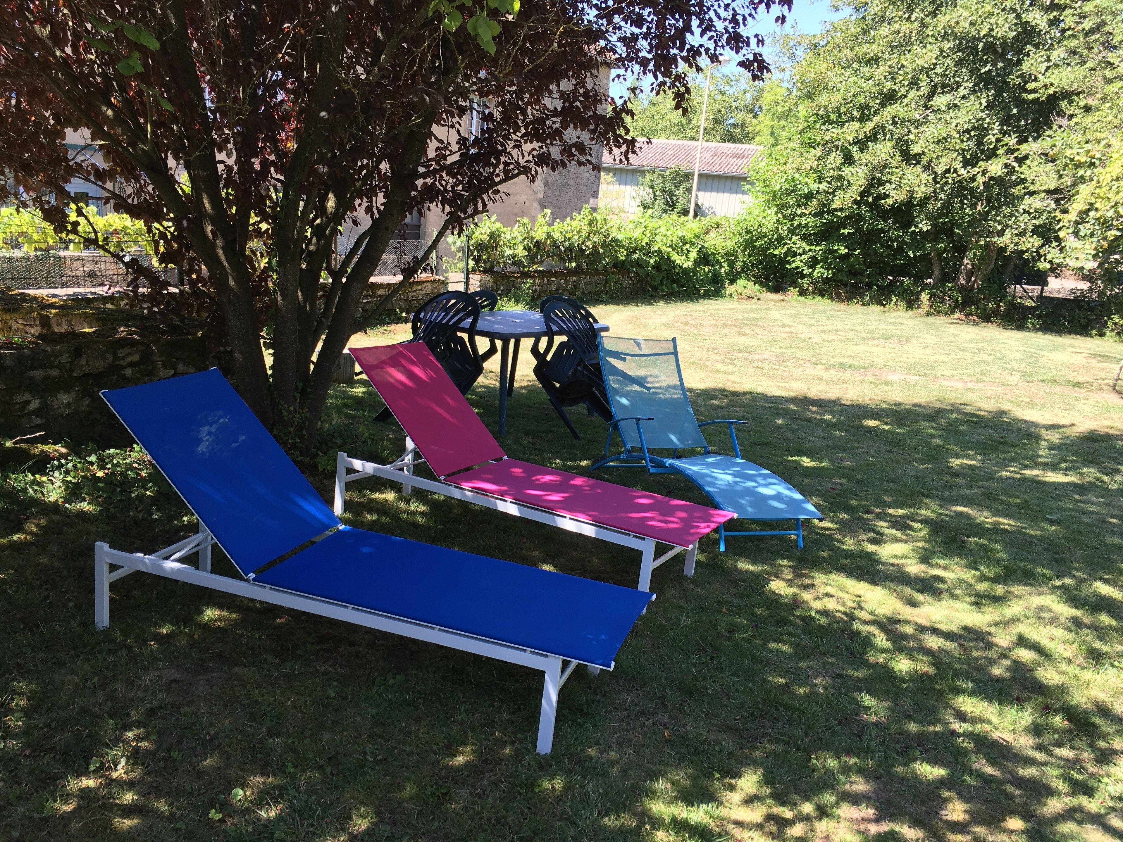 Un espace extérieur verdoyant avec trois chaises longues et une petite table.