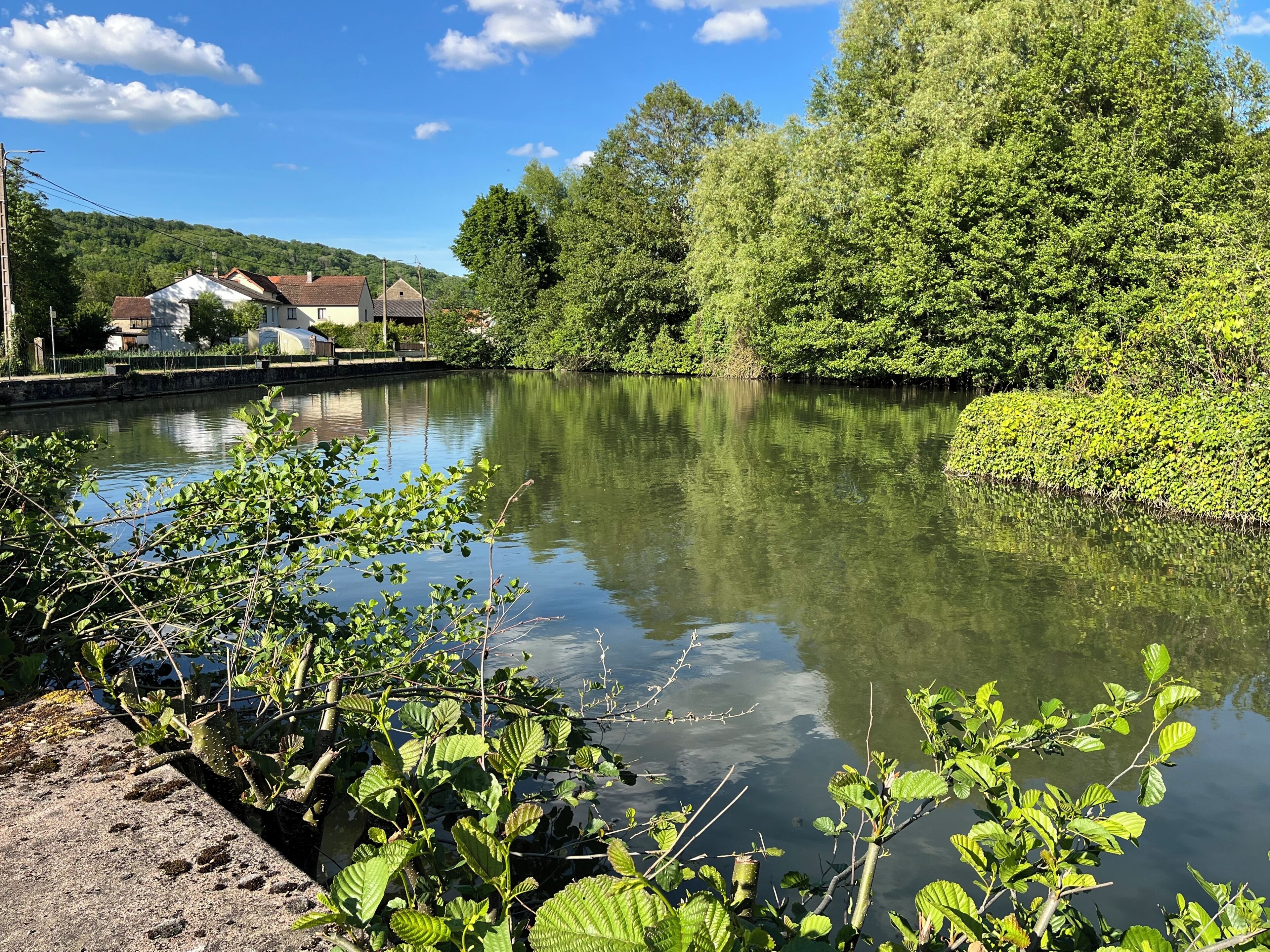 Une rivière paisible, bordée de verdure, avec des maisons en arrière-plan.