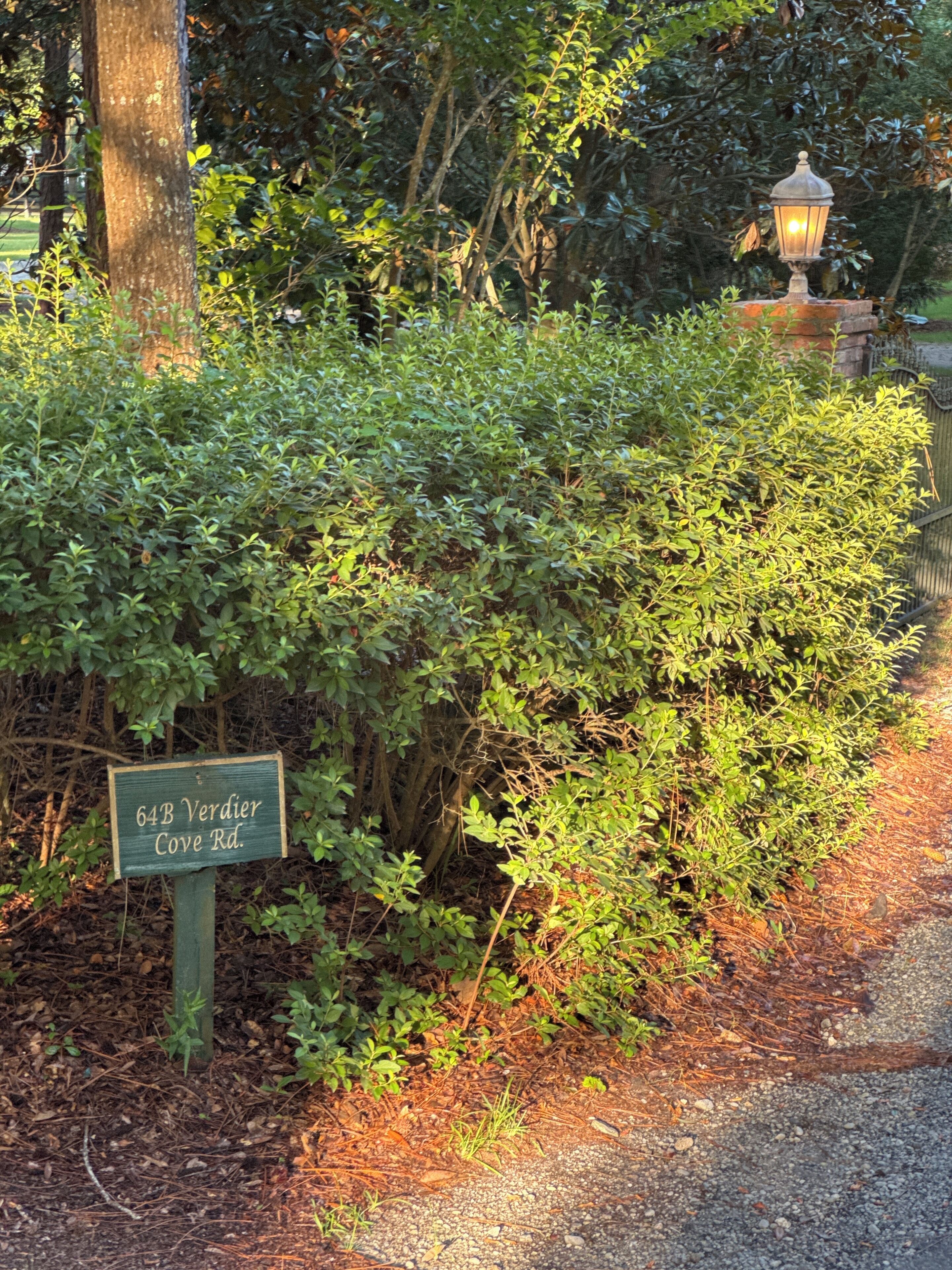 A sign indicating '64B Verdier Cove Rd.' amidst dense greenery and a pathway.