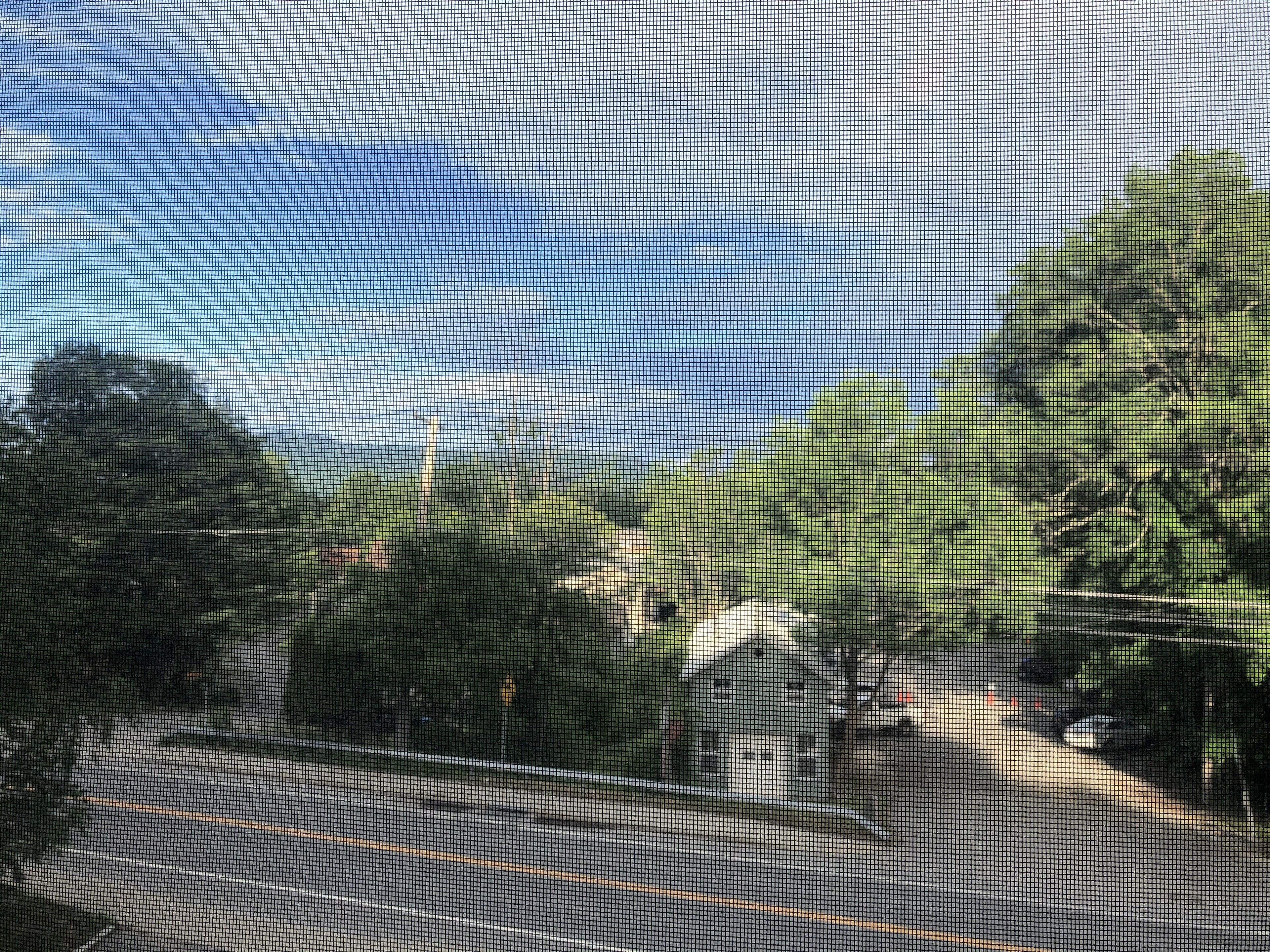 A view through a window with a grid pattern, featuring a road, greenery, and a building.