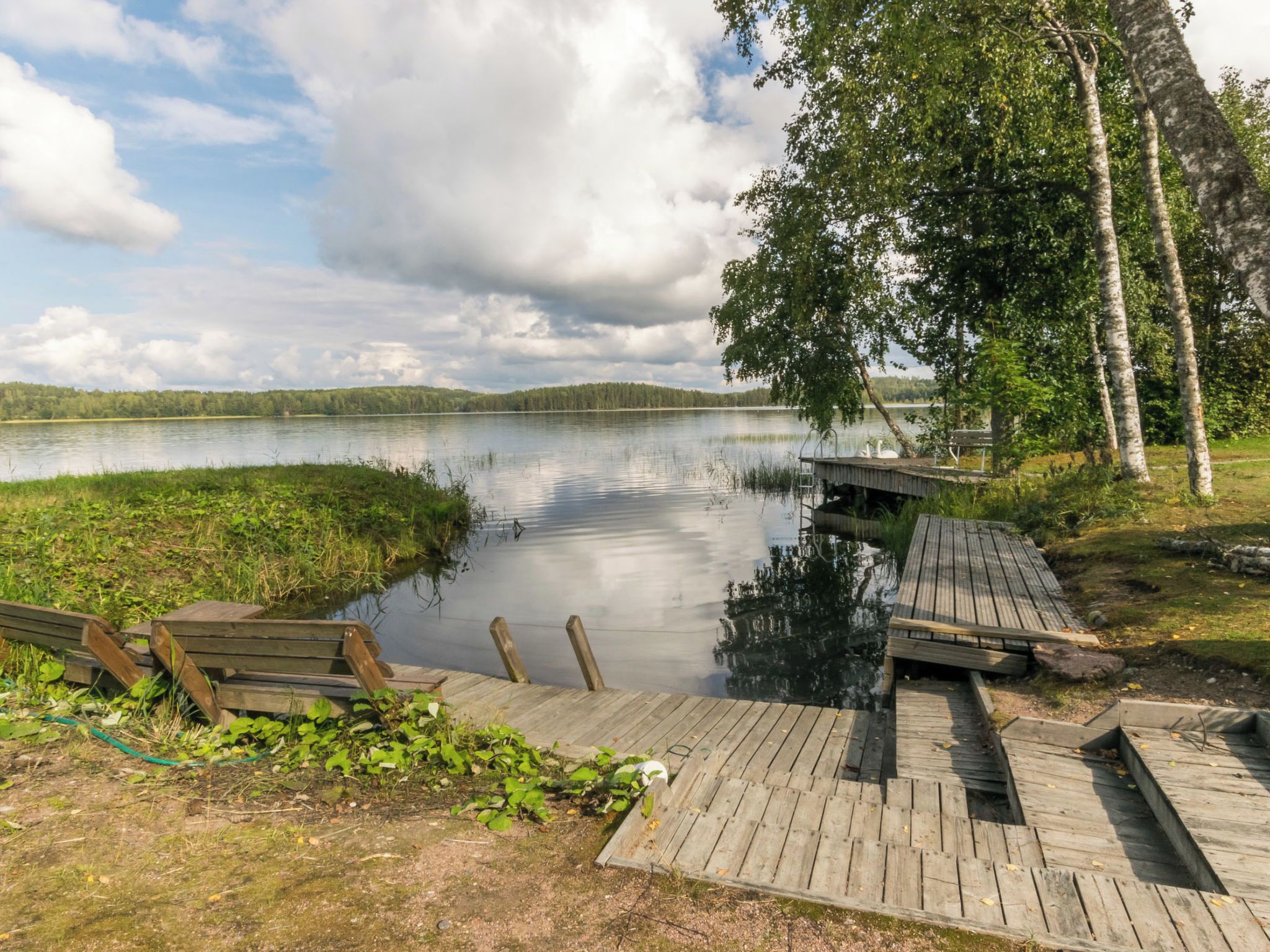 Una banchina di legno si protende in un lago calmo, circondata da vegetazione e alberi.