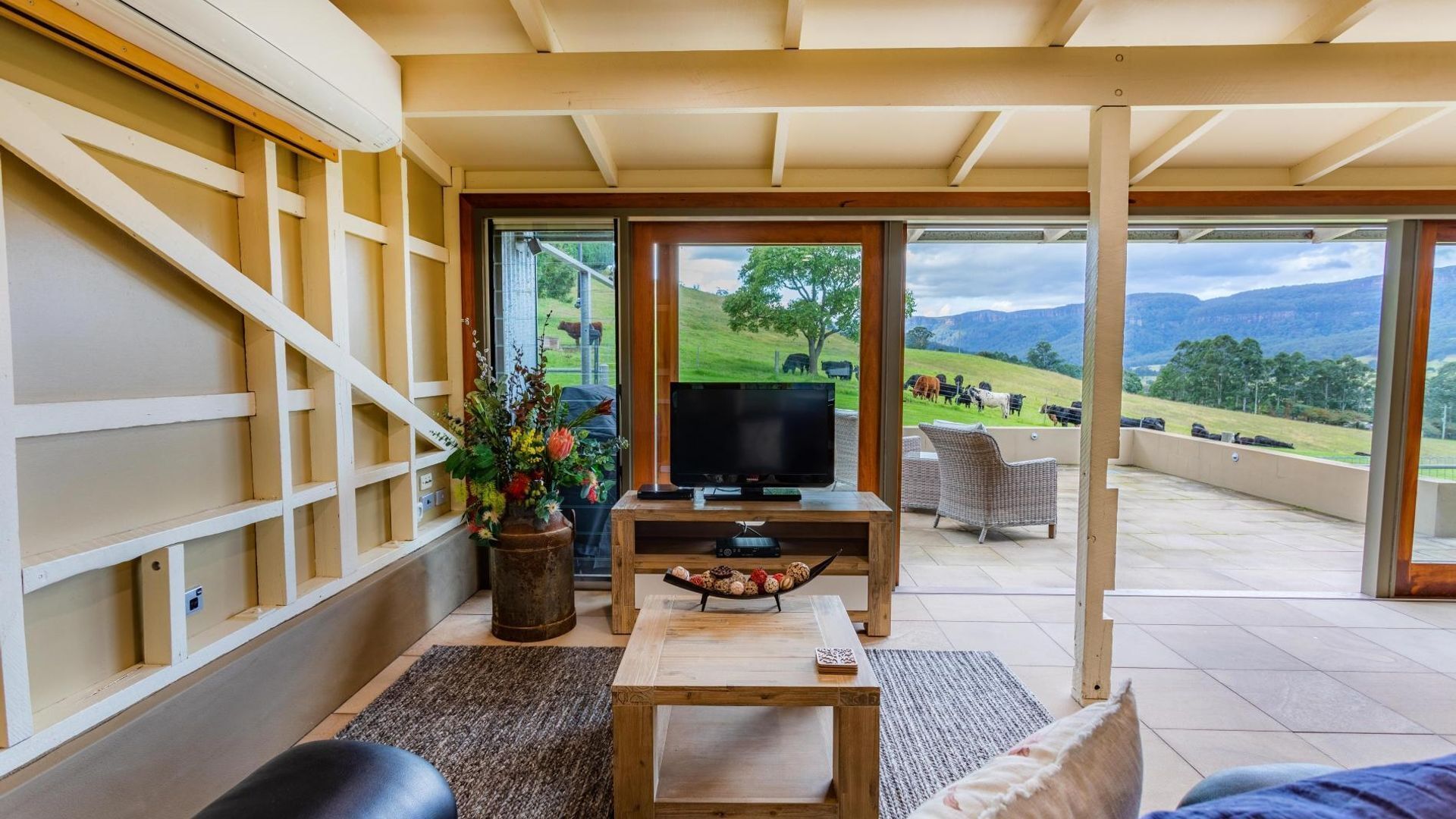 TV, fireplace, DVD player, books