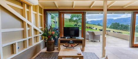 Televisión, chimenea, reproductor de DVD y libros