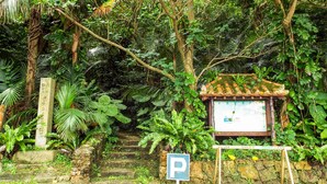 A stone staircase leading to a traditional tiled-roof structure surrounded by dense tropical foliage. - Asobi Base Yamabare House Ishigakijima (Ishigaki)