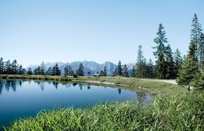 Unclassified image, 5 of 17, button - 1-room apartment (approx. 32 m²) - Apartment complex Kerber Tirol (Seefeld in Tirol)