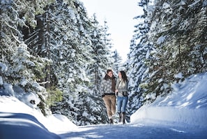 Snow and ski sports - 2-room apartment (approx. 47 m²) - Apartment complex Kerber Tirol (Seefeld in Tirol)