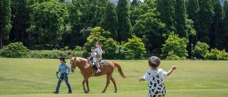 A grassy field with a horse and two people, one riding and one walking a horse.