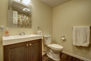 シャワー付き浴槽、ヘアドライヤー、タオル、石鹸