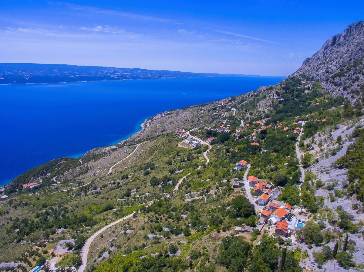 Imagen de perfil del propietario o de la propietaria